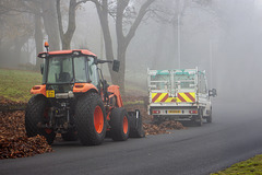 Clearing the Leaves in the Fog