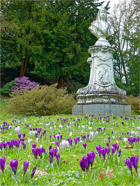 Krokussblüte am Kaiserin Augusta Denkmal /  Baden-Baden  2014  04