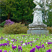 Krokussblüte am Kaiserin Augusta Denkmal /  Baden-Baden  2014  04
