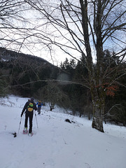20150101 -03 Raquettes Vercors (53) al