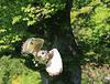 In flight...