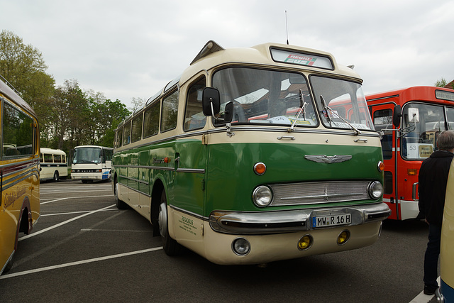 Omnibustreffen Sinsheim/Speyer 2017 501