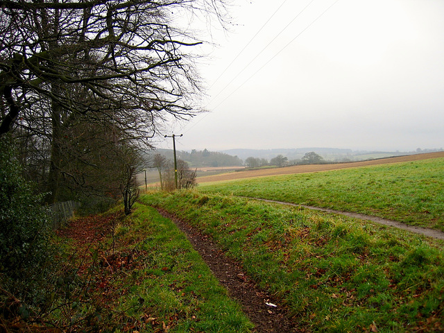 View from bench at The Birches.