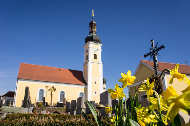 Mintraching, Pfarrkirche St. Mauritius (PiP)