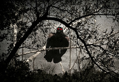 Halloween eyes are following you, boooh!