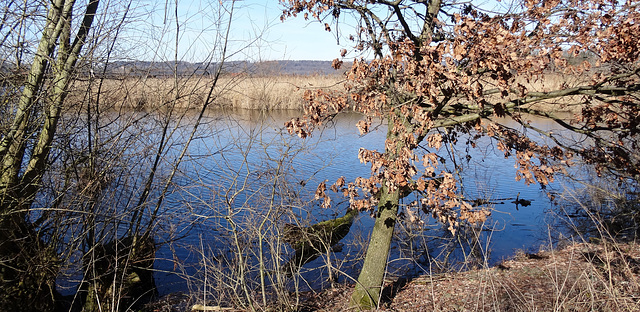 Zuckerwassersee