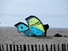 une libellule ne fait pas le printemps