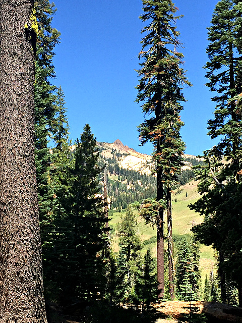 A view - Lessen National Park