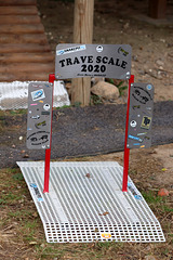 Trave Scale 2020