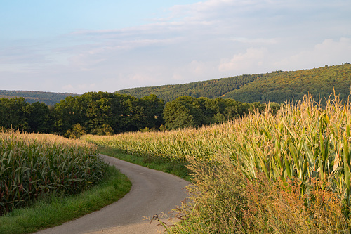 Döhmberg