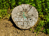 20210609 0665CPw [D~LIP] Rosenwaldmeister, UWZ, Bad Salzuflen