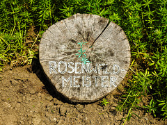 20210609 0665CPw [D~LIP] Rosenwaldmeister, UWZ, Bad Salzuflen