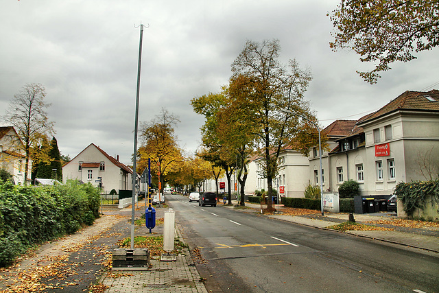 Arenbergstraße (Siedlung Mathias Stinnes, Essen-Karnap) / 20.10.2021