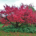 Herbst 2022