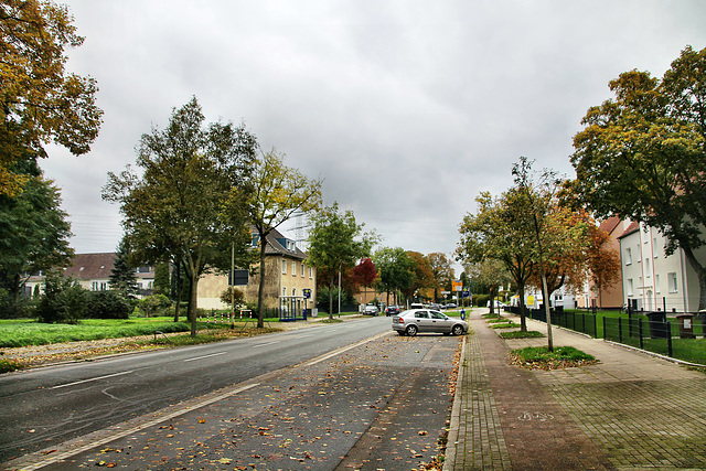 Arenbergstraße (Essen-Karnap) / 20.10.2021