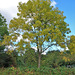 Herbst 2022