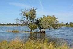 Zambia, The River of Zambezi in the Rain Season