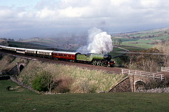 V.2 4771 GREEN ARROW at Birkett Common 11th May 1989