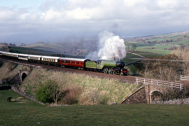 V.2 4771 GREEN ARROW at Birkett Common 11th May 1989