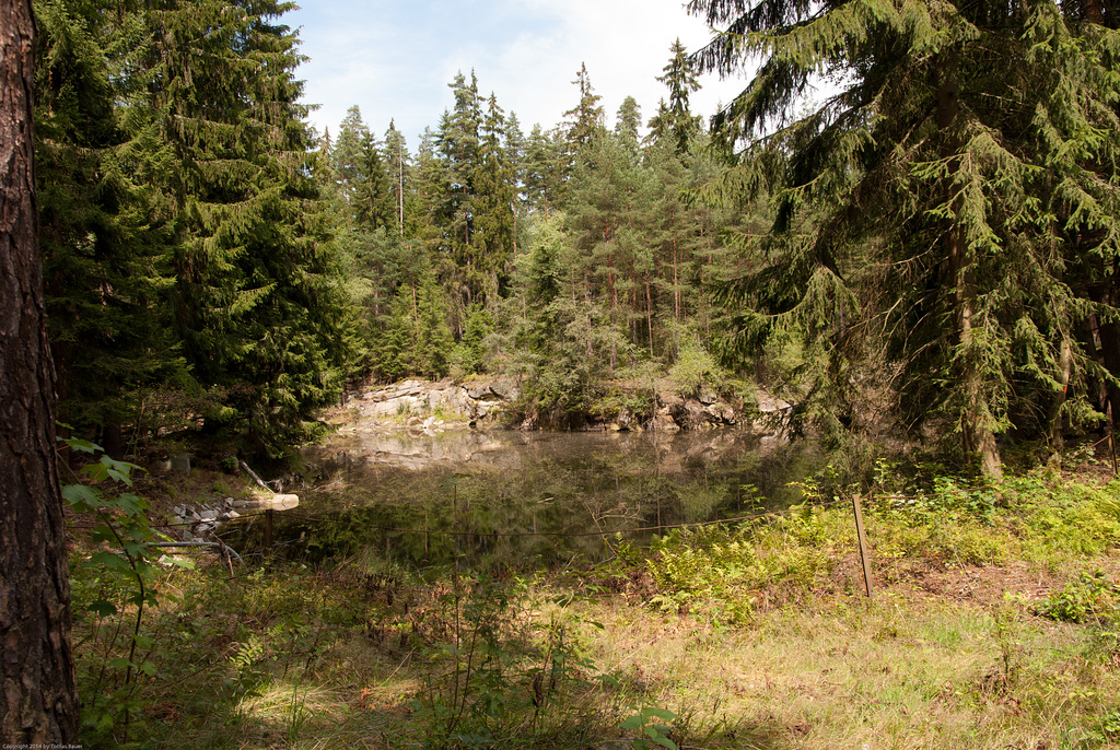 Schausteinbruch Selb