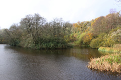 Tal-y-Garn Lake