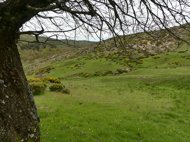 20240503 -05 Lavogne Blandas - Ruines Malpertus - Puech Sigal (105)