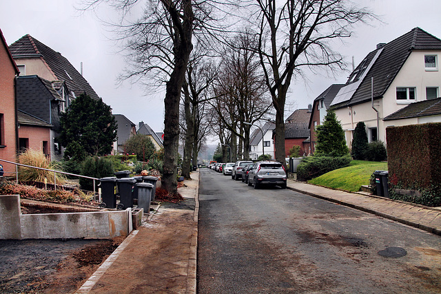 Hesternstraße (Wattenscheid-Eppendorf) / 17.02.2024