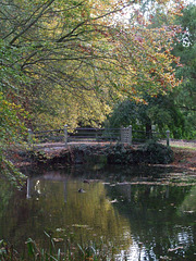 Anglesey Abbey 2011-10-29