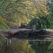 Anglesey Abbey 2011-10-29