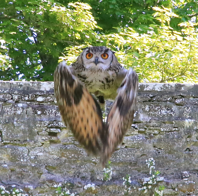 In flight...