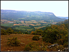 Valle de la Burunda (Navarra) 2