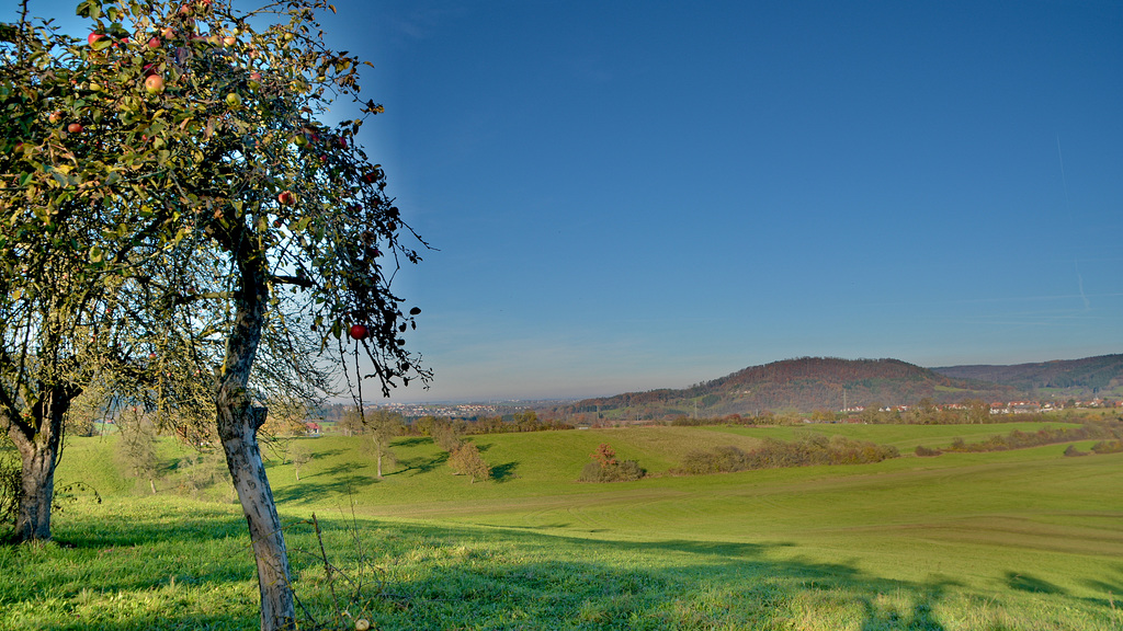 Ein sonniger Novembertag