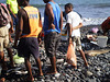 Fresh fish sale at the beach.