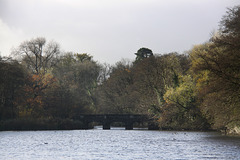 Tal-y-Garn Lake