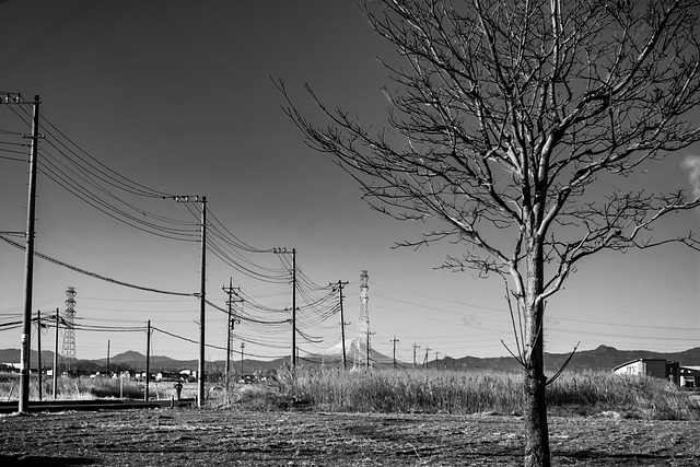 Mt. Fuji in distace