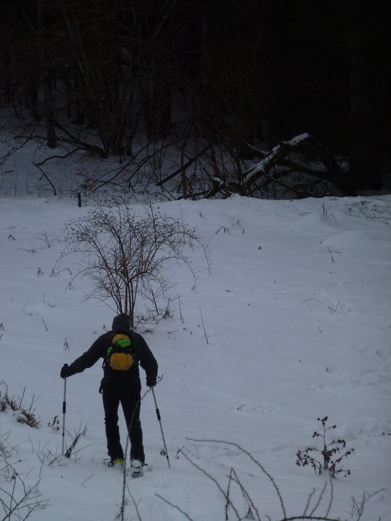 20150101 -03 Raquettes Vercors (55) al