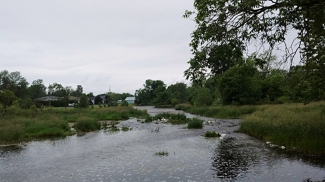 Ambiance paisible de moulin ancien