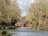 Chichester Canal