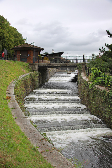 Roath Park