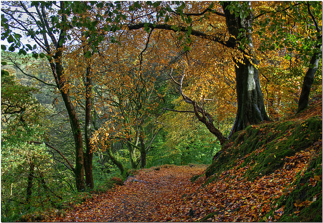 Path to Gibson's Mill, Calderdale