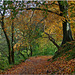 Path to Gibson's Mill, Calderdale