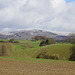 Blick zum Mühlenberg