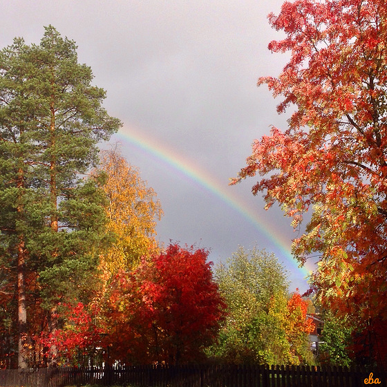 The colors of Autumn