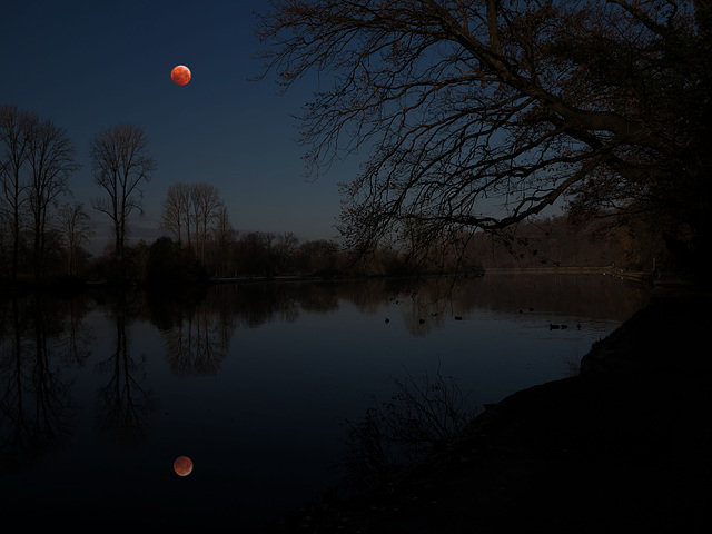 Blutmond