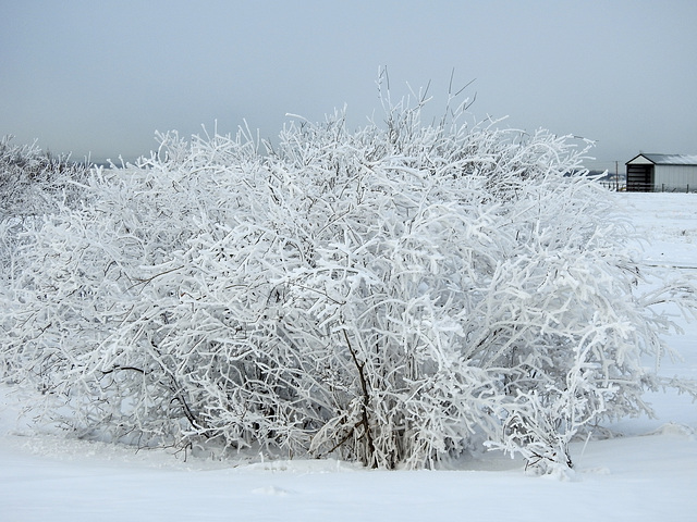 Winter, east of the city