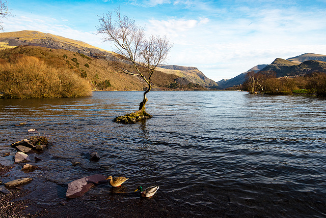 Lake Padarn