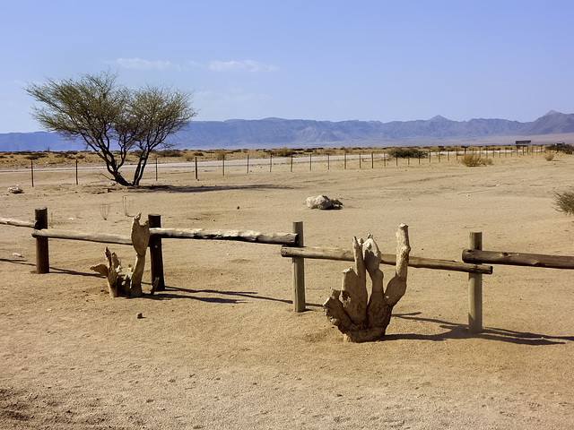 The fences of Solitaire