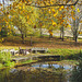 Autumn sunshine on the dock