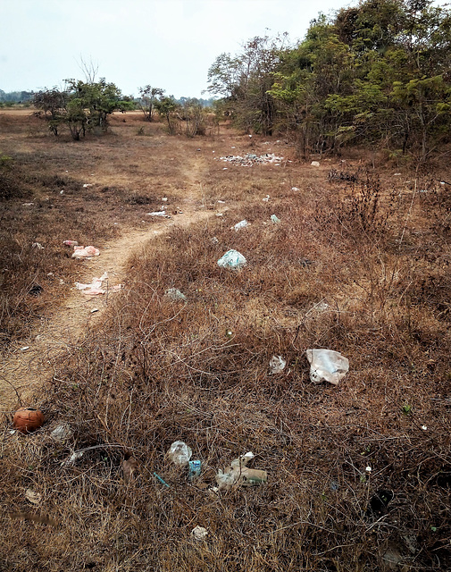 Nature plastifiée ou horreur cambodgienne