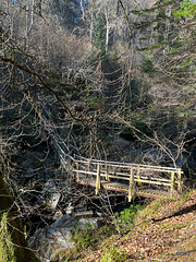 Bridge over the Dorback. "You go first." No, no, after you!"